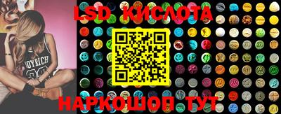 PSILOCYBIN Нальчик