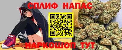 PSILOCYBIN Нальчик