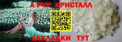 PSILOCYBIN Нальчик