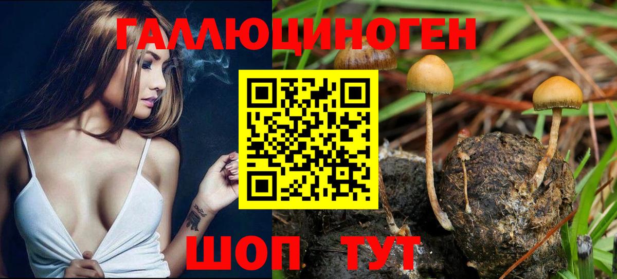 Галлюциногенные грибы мицелий  цена наркотик  Советский  Вход с VPN 
